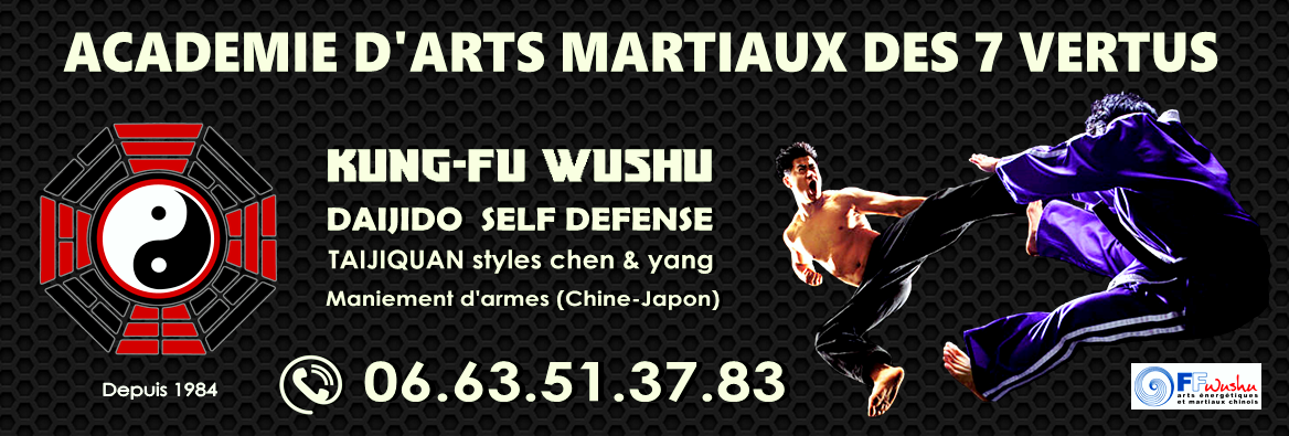 Arts martiaux cours de kung-fu wushu karaté