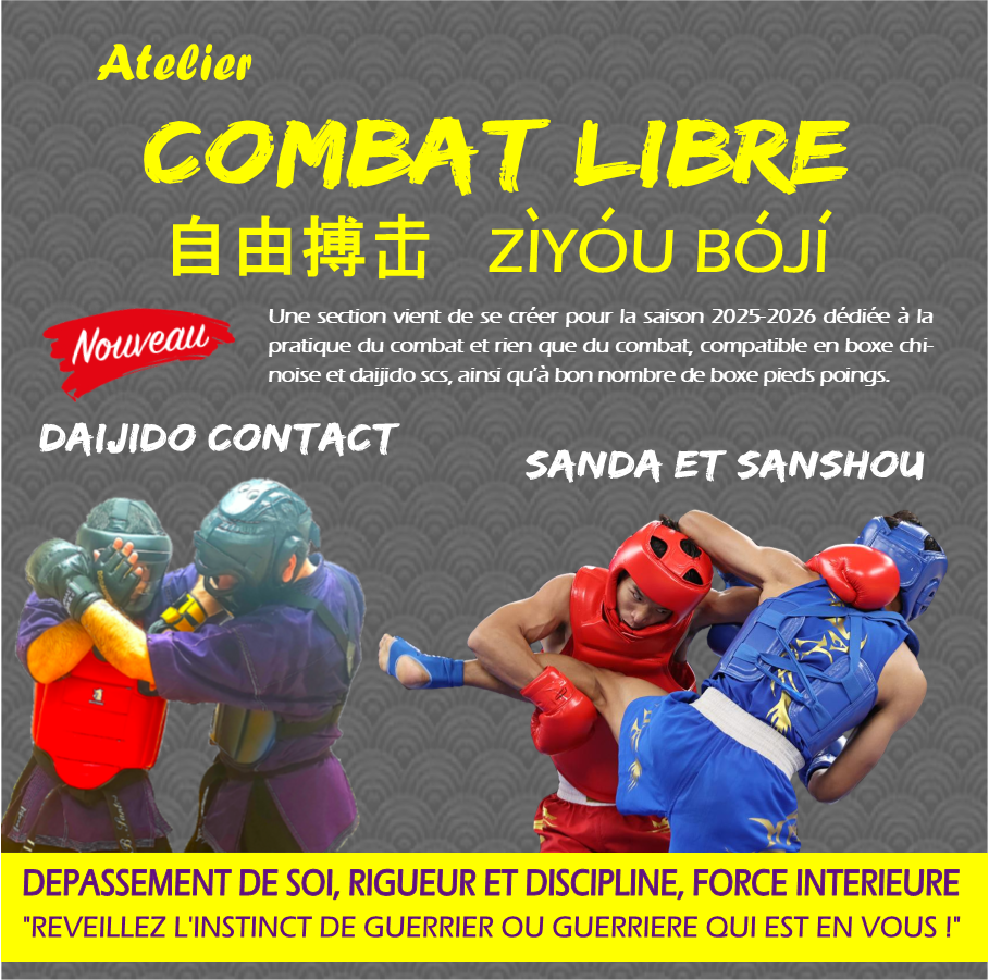 Activite combat libre