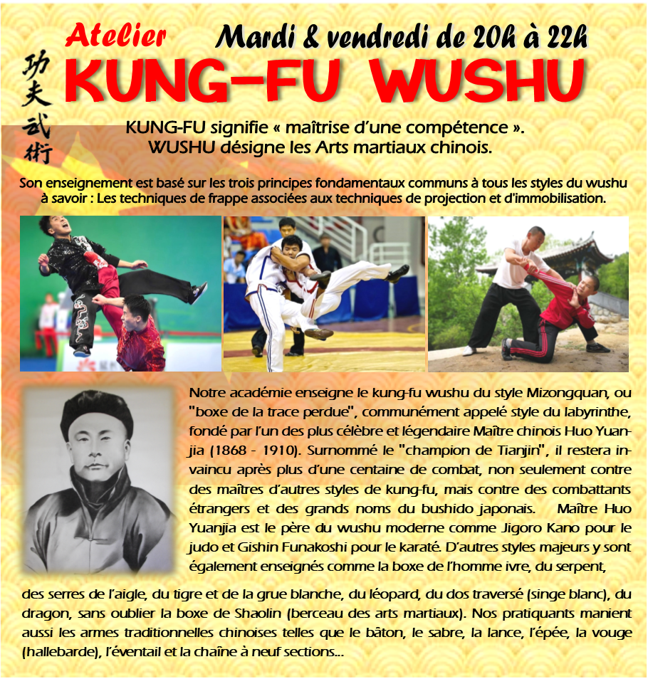 Activite kung fu